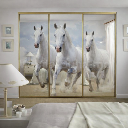  Двери купе с фотопечатью А-22